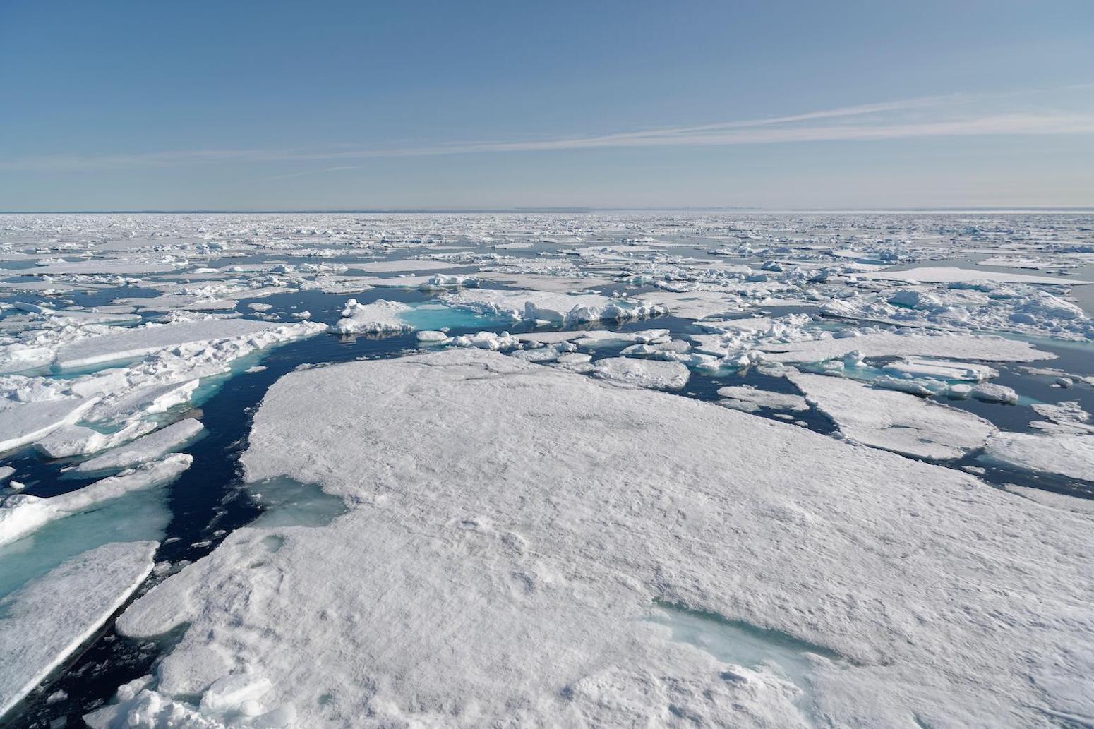 Montreal Protocol has slowed lack of Arctic sea ice, say scientists