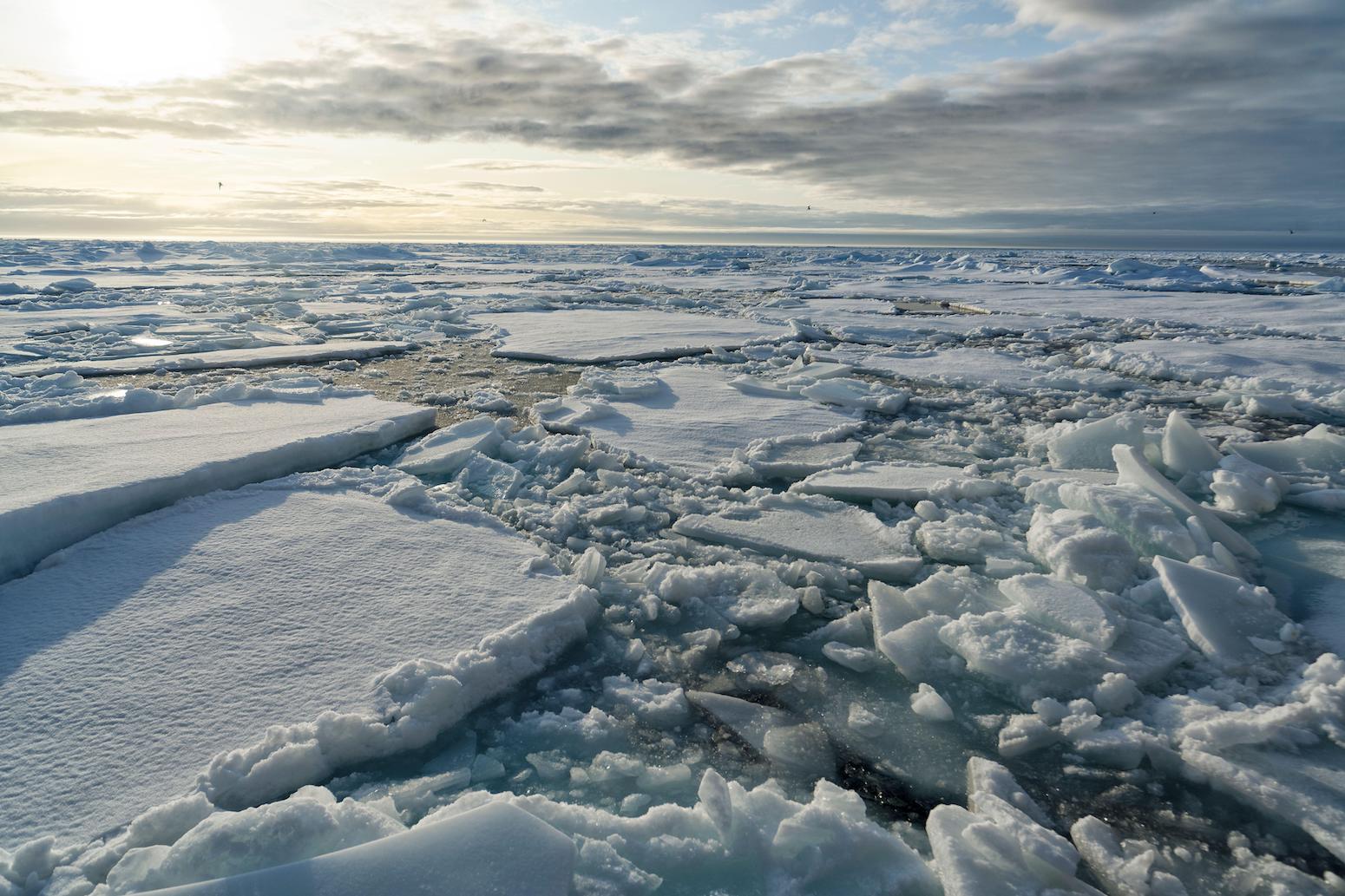 Antarctic sea ice ‘behaving unusually’ as Arctic reaches ‘below-average’ winter peak