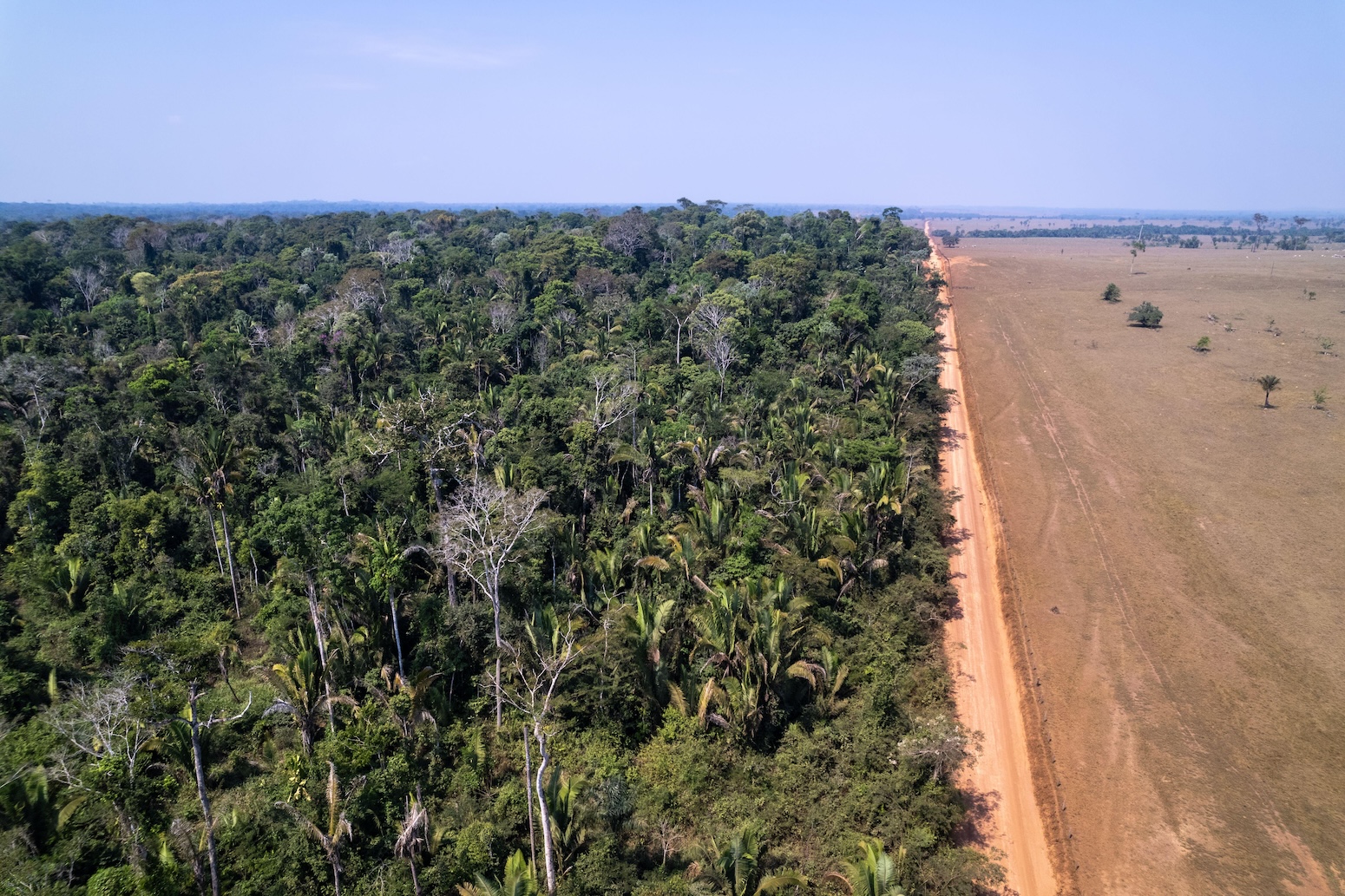 ‘Unprecedented’ stress in as a lot as half of the Amazon would possibly end in tipping stage by 2050