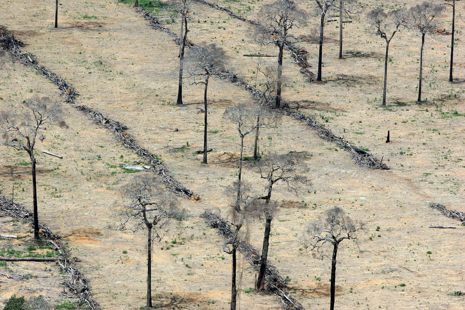 UN land report: 5 key takeaways for native climate change, meals methods and nature loss