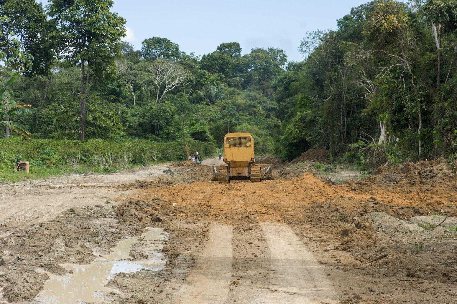 Tropical forest degradation as a consequence of ‘edge outcomes’ is 200% higher than thought