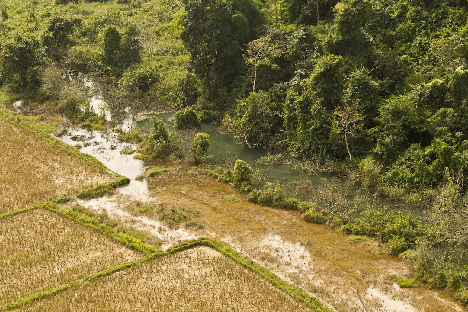 IPBES nexus report: 5 takeaways for biodiversity, meals, water, effectively being and native climate