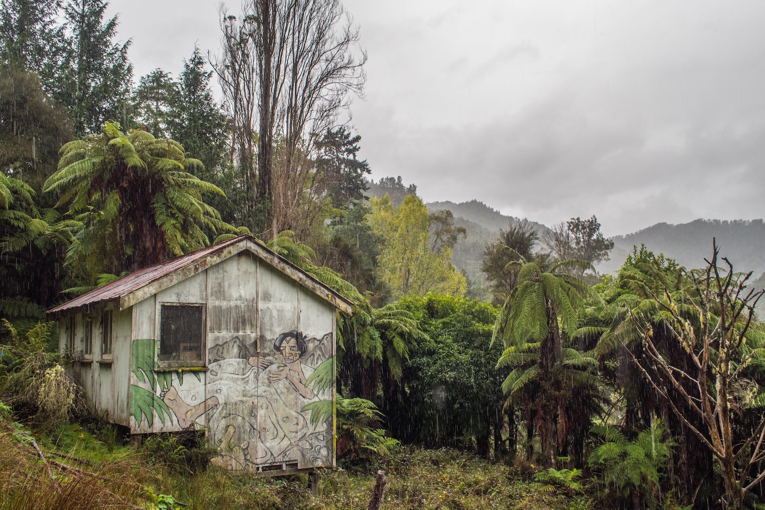 Research affords new coverage device for contemplating ‘Indigenous local weather justice’